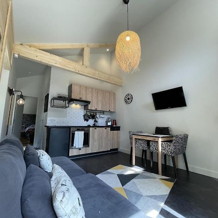 Ginkobiloba : Appartement Cosy En Coeur De Ville Bagnères-de-Bigorre Eksteriør billede