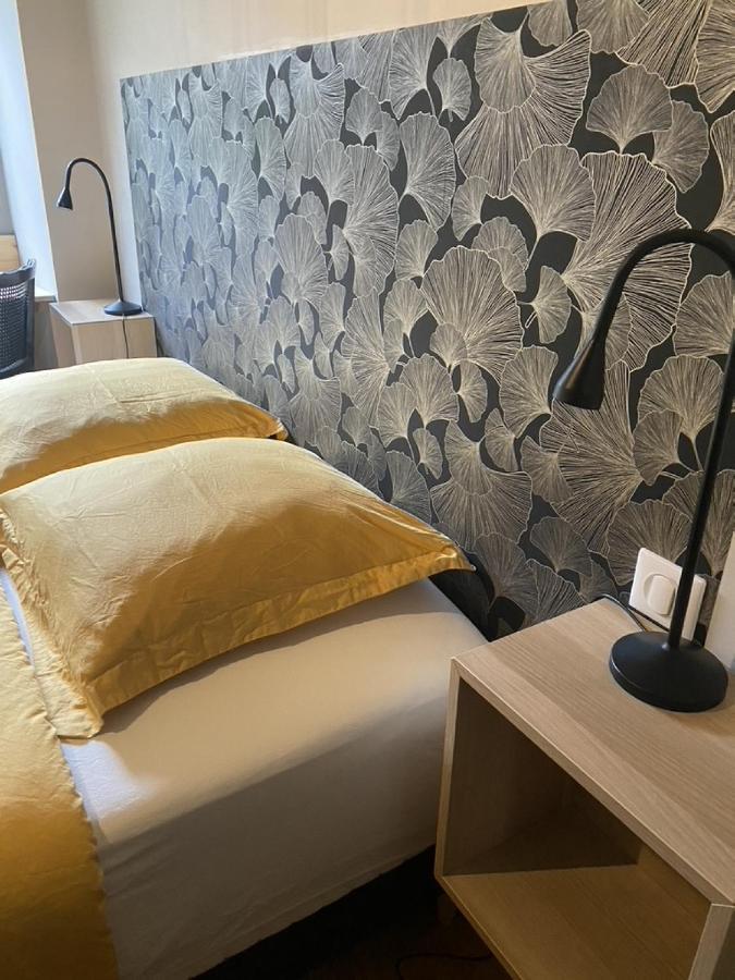 Ginkobiloba : Appartement Cosy En Coeur De Ville Bagnères-de-Bigorre Eksteriør billede