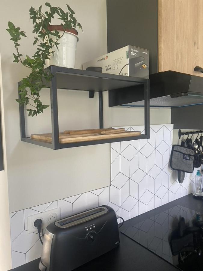 Ginkobiloba : Appartement Cosy En Coeur De Ville Bagnères-de-Bigorre Eksteriør billede